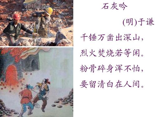碰碰狐生日派对游戏下载